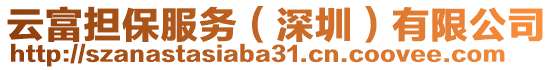 云富擔(dān)保服務(wù)（深圳）有限公司