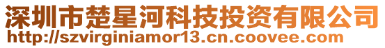 深圳市楚星河科技投資有限公司