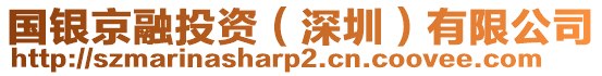 國(guó)銀京融投資（深圳）有限公司