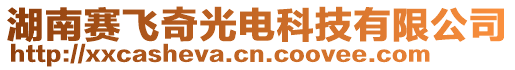 湖南赛飞奇光电科技有限公司