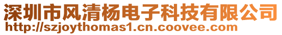 深圳市風(fēng)清楊電子科技有限公司