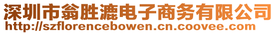 深圳市翁勝漉電子商務有限公司