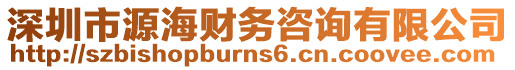 深圳市源海財務(wù)咨詢有限公司