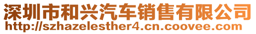 深圳市和興汽車銷售有限公司