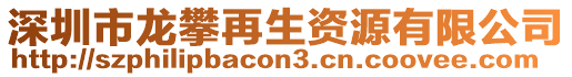 深圳市龍攀再生資源有限公司