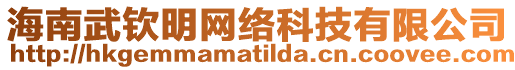 海南武欽明網(wǎng)絡(luò)科技有限公司