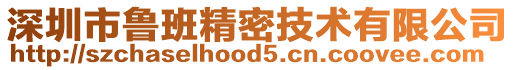 深圳市魯班精密技術有限公司