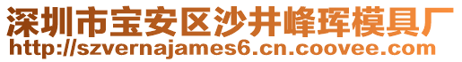 深圳市寶安區(qū)沙井峰琿模具廠