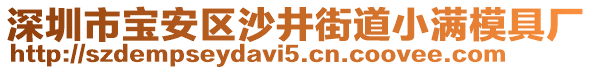 深圳市寶安區(qū)沙井街道小滿模具廠