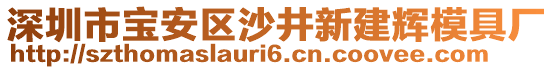 深圳市寶安區(qū)沙井新建輝模具廠