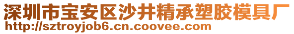 深圳市寶安區(qū)沙井精承塑膠模具廠