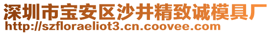 深圳市寶安區(qū)沙井精致誠(chéng)模具廠