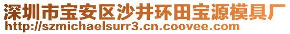 深圳市寶安區(qū)沙井環(huán)田寶源模具廠