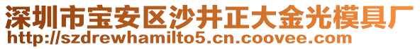 深圳市寶安區(qū)沙井正大金光模具廠