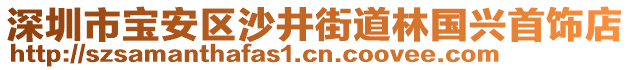 深圳市寶安區(qū)沙井街道林國興首飾店