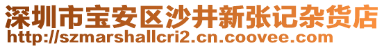 深圳市寶安區(qū)沙井新張記雜貨店