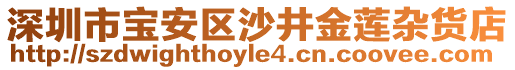 深圳市寶安區(qū)沙井金蓮雜貨店