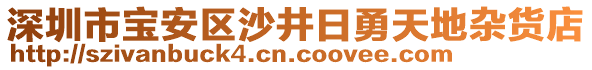 深圳市寶安區(qū)沙井日勇天地雜貨店