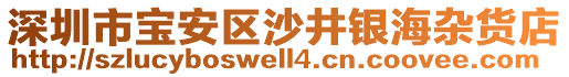 深圳市寶安區(qū)沙井銀海雜貨店