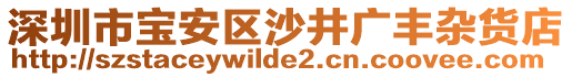 深圳市寶安區(qū)沙井廣豐雜貨店