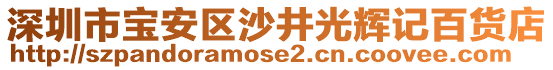 深圳市寶安區(qū)沙井光輝記百貨店