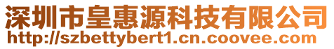 深圳市皇惠源科技有限公司