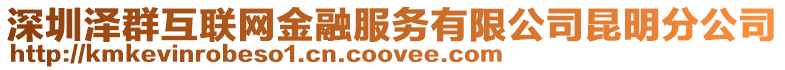 深圳澤群互聯網金融服務有限公司昆明分公司