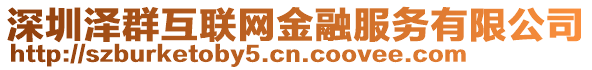 深圳澤群互聯網金融服務有限公司