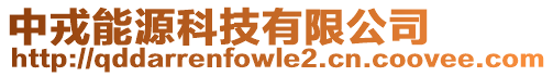 中戎能源科技有限公司