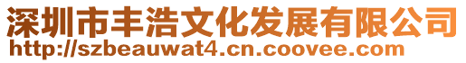 深圳市豐浩文化發展有限公司
