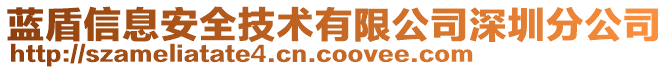 藍盾信息安全技術有限公司深圳分公司