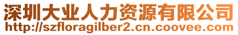 深圳大業(yè)人力資源有限公司