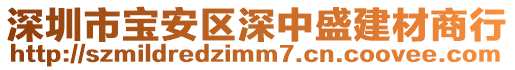 深圳市寶安區(qū)深中盛建材商行