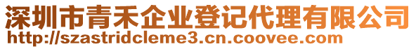 深圳市青禾企業(yè)登記代理有限公司