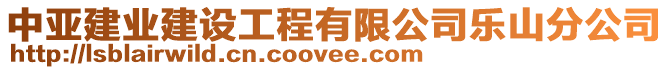 中亞建業(yè)建設(shè)工程有限公司樂(lè)山分公司