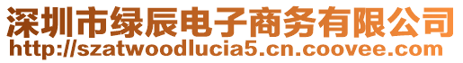 深圳市綠辰電子商務(wù)有限公司