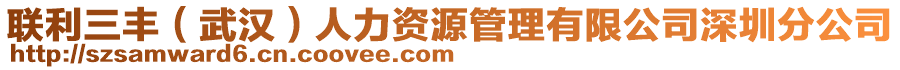 聯(lián)利三豐（武漢）人力資源管理有限公司深圳分公司