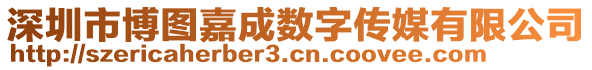 深圳市博圖嘉成數(shù)字傳媒有限公司