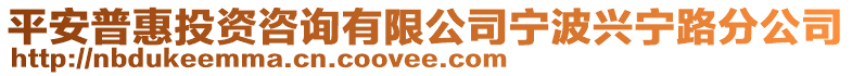 平安普惠投資咨詢有限公司寧波興寧路分公司