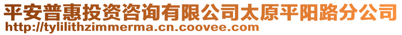 平安普惠投資咨詢有限公司太原平陽路分公司