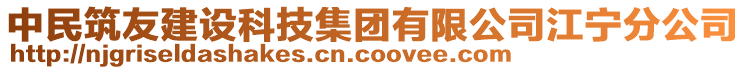 中民筑友建設科技集團有限公司江寧分公司