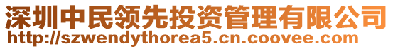 深圳中民領先投資管理有限公司