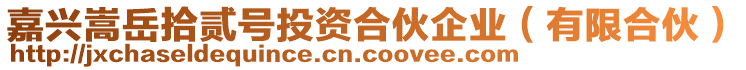 嘉興嵩岳拾貳號投資合伙企業(yè)(有限合伙)
