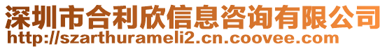 深圳市合利欣信息咨詢有限公司