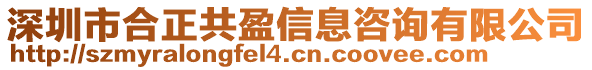 深圳市合正共盈信息咨詢(xún)有限公司