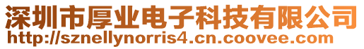 深圳市厚業電子科技有限公司