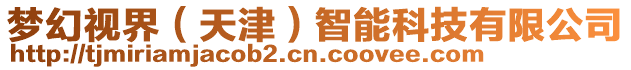 夢幻視界(天津)智能科技有限公司
