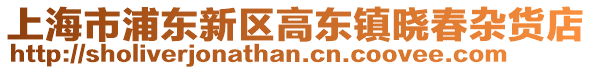 上海市浦東新區(qū)高東鎮(zhèn)曉春雜貨店