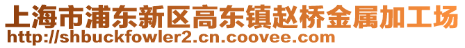 上海市浦東新區(qū)高東鎮(zhèn)趙橋金屬加工場(chǎng)