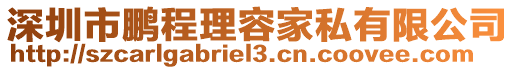 深圳市鵬程理容家私有限公司